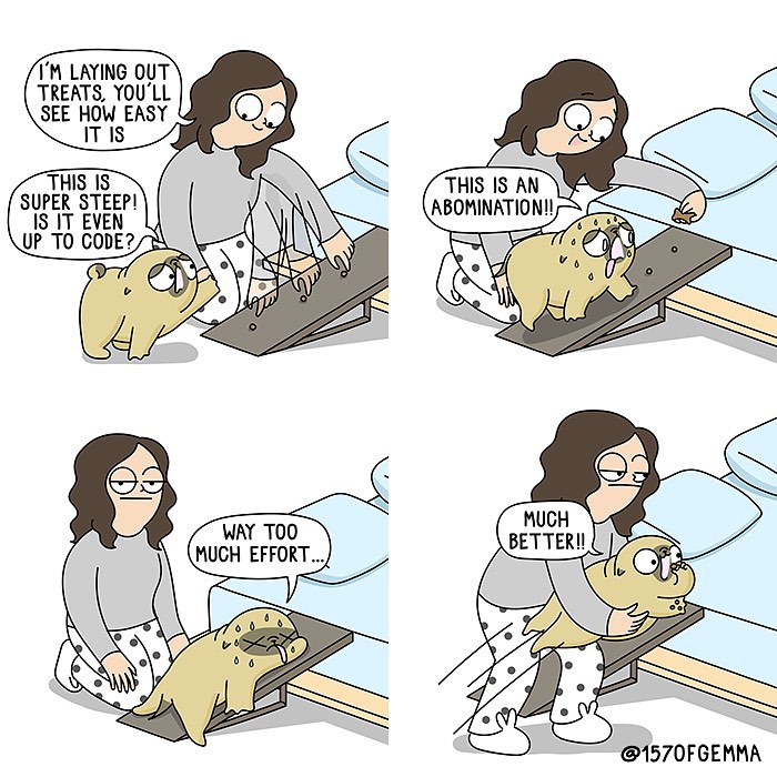 Life-With-Pug-Mochi-Comic-Gemma-Gene-157ofgemma