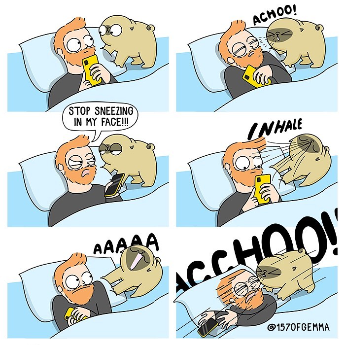 Life-With-Pug-Mochi-Comic-Gemma-Gene-157ofgemma