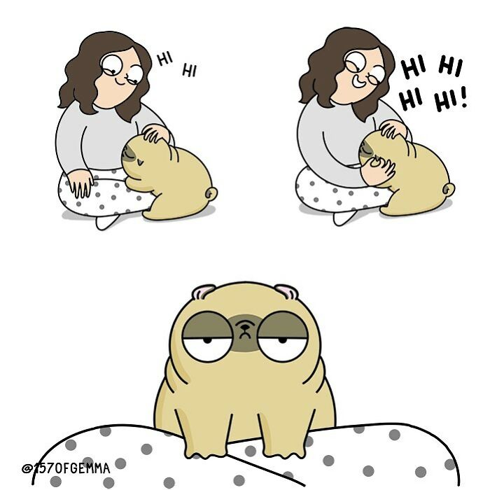 Life-With-Pug-Mochi-Comic-Gemma-Gene-157ofgemma