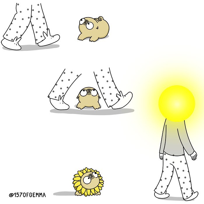 Life-With-Pug-Mochi-Comic-Gemma-Gene-157ofgemma