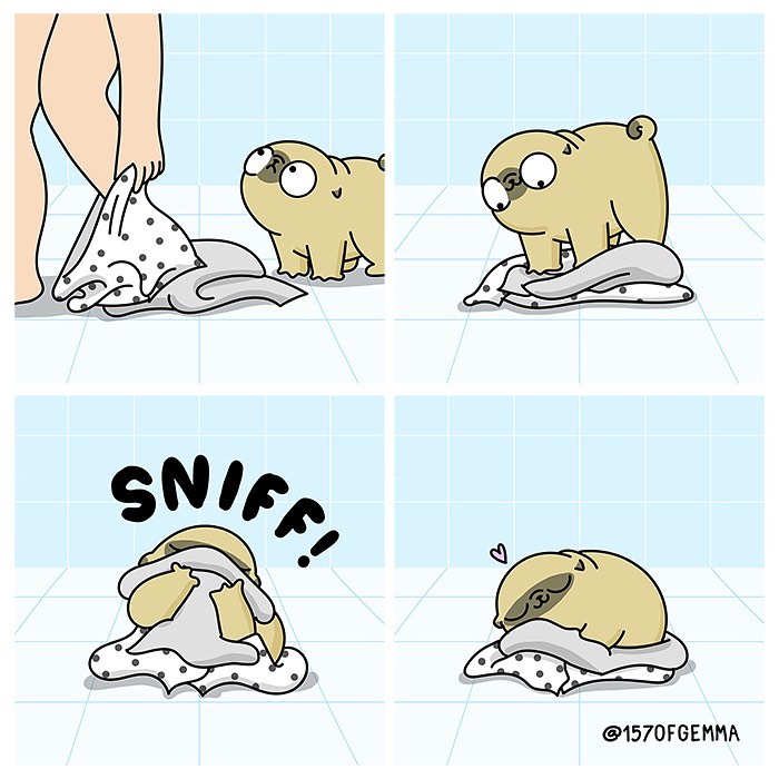 Life-With-Pug-Mochi-Comic-Gemma-Gene-157ofgemma