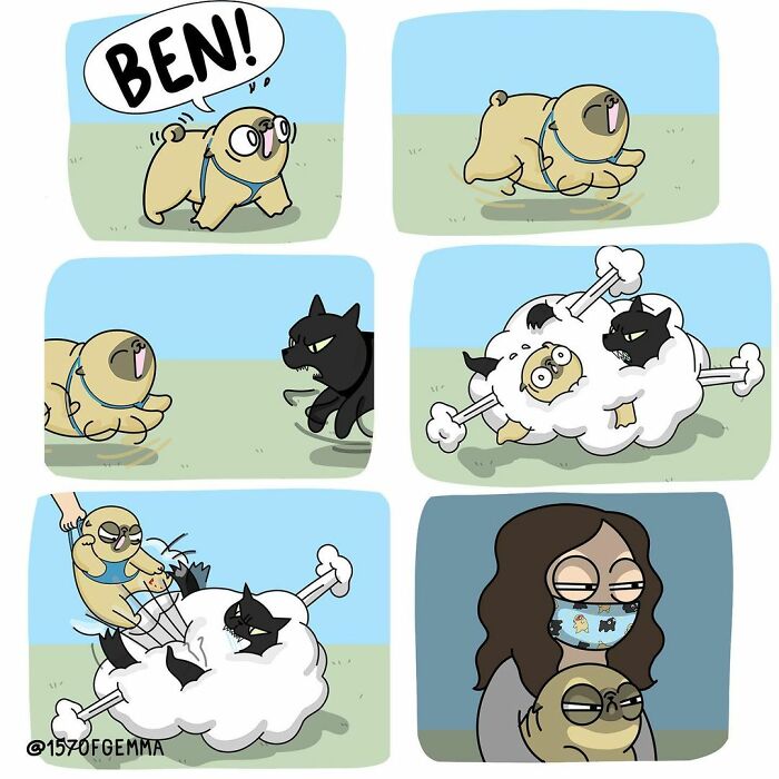 Life-With-Pug-Mochi-Comic-Gemma-Gene-157ofgemma