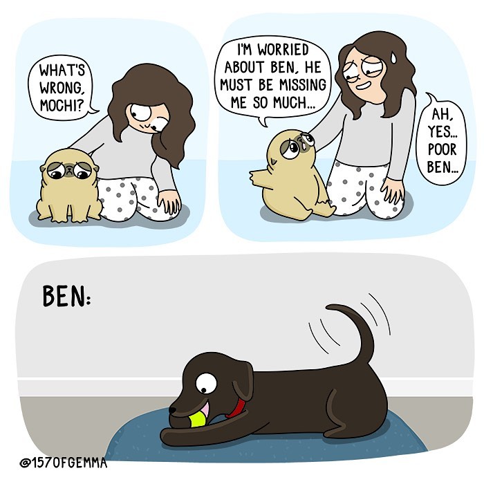 Life-With-Pug-Mochi-Comic-Gemma-Gene-157ofgemma