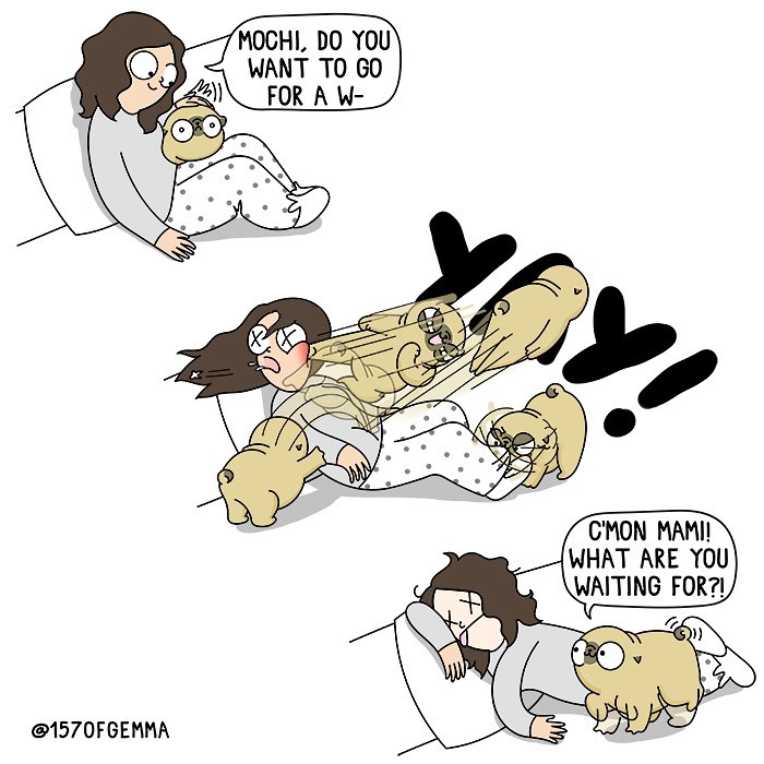Life-With-Pug-Mochi-Comic-Gemma-Gene-157ofgemma