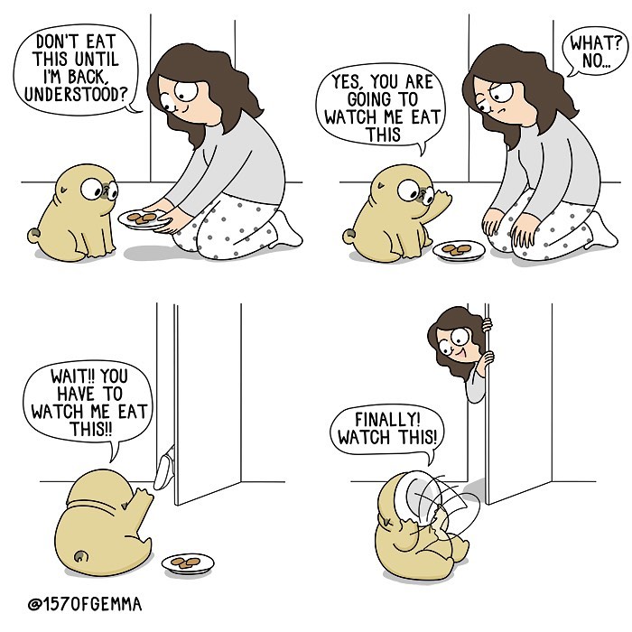 Life-With-Pug-Mochi-Comic-Gemma-Gene-157ofgemma