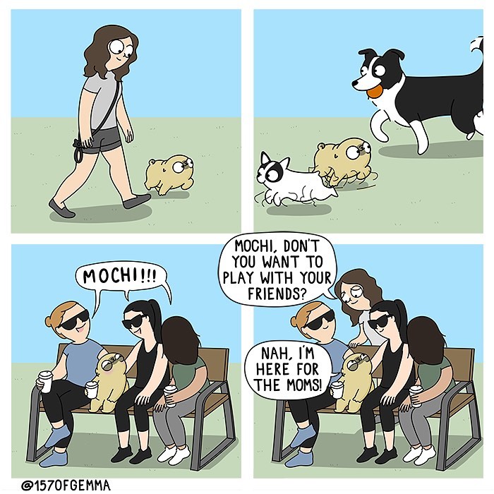 Life-With-Pug-Mochi-Comic-Gemma-Gene-157ofgemma