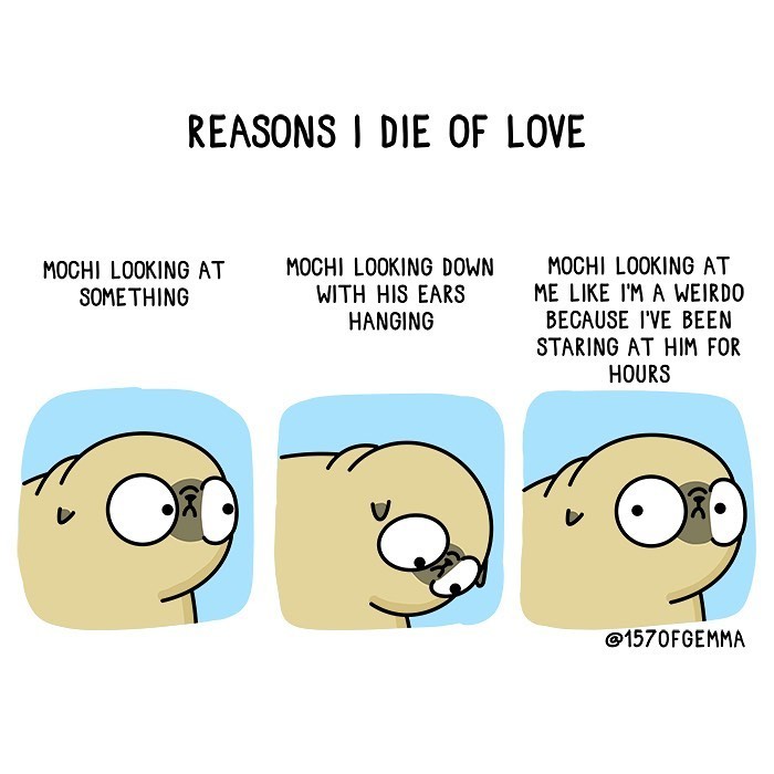 Life-With-Pug-Mochi-Comic-Gemma-Gene-157ofgemma