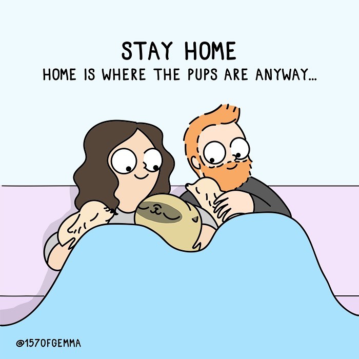 Life-With-Pug-Mochi-Comic-Gemma-Gene-157ofgemma