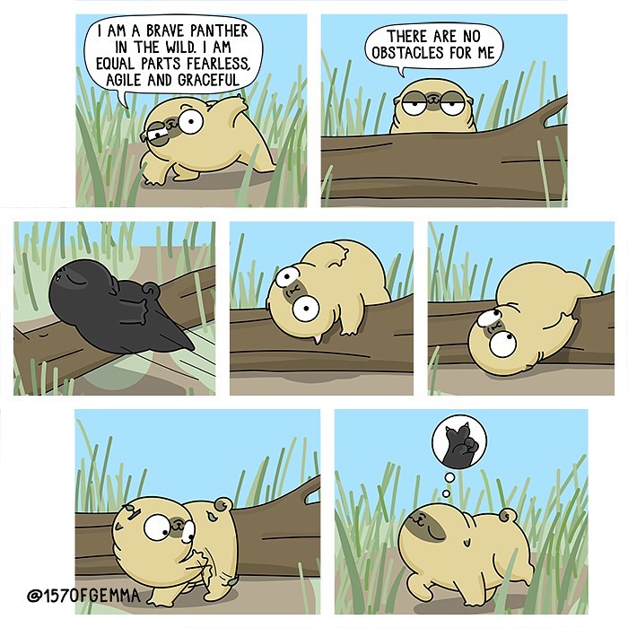 Life-With-Pug-Mochi-Comic-Gemma-Gene-157ofgemma