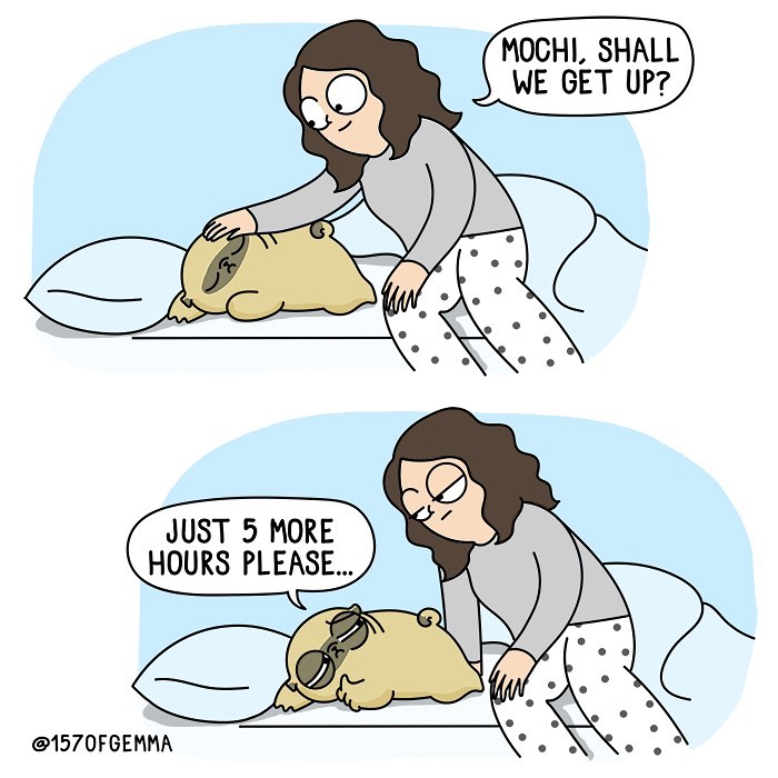 Life-With-Pug-Mochi-Comic-Gemma-Gene-157ofgemma