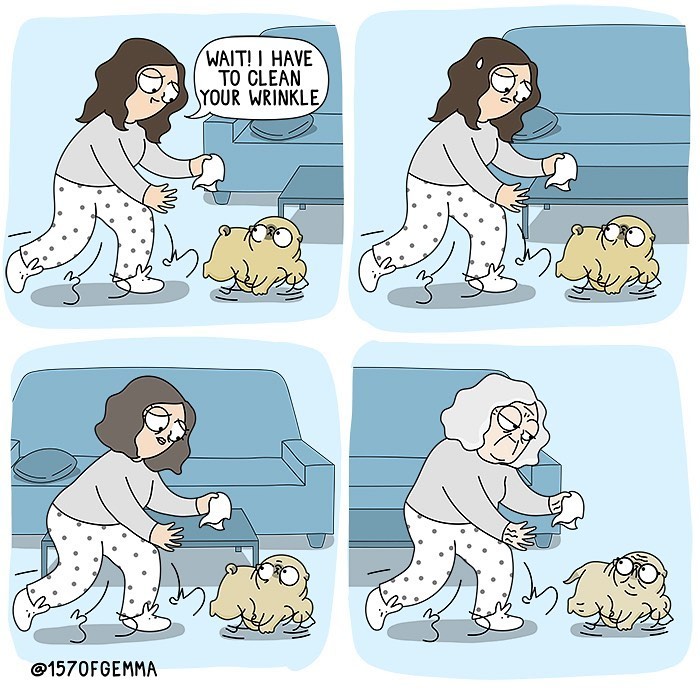 Life-With-Pug-Mochi-Comic-Gemma-Gene-157ofgemma