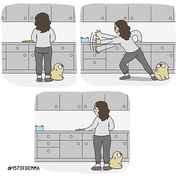 Life-With-Pug-Mochi-Comic-Gemma-Gene-157ofgemma