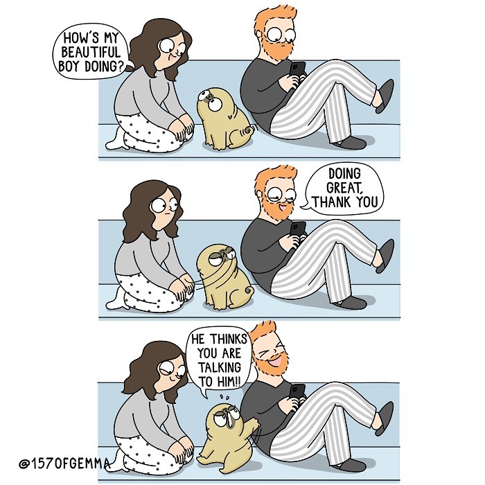 Life-With-Pug-Mochi-Comic-Gemma-Gene-157ofgemma