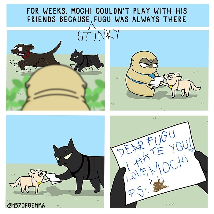 Life-With-Pug-Mochi-Comic-Gemma-Gene-157ofgemma