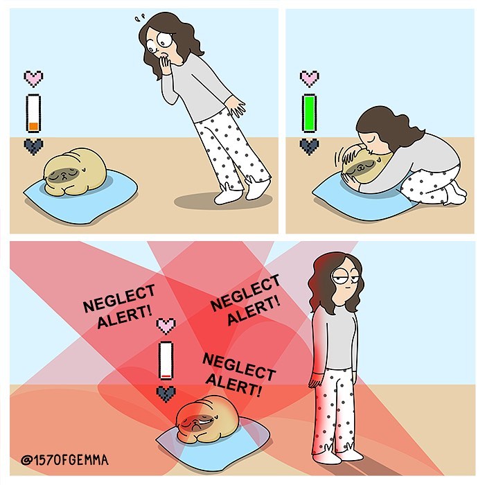 Life-With-Pug-Mochi-Comic-Gemma-Gene-157ofgemma