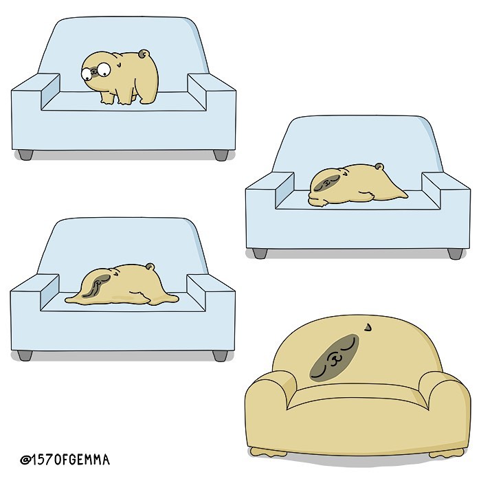 Life-With-Pug-Mochi-Comic-Gemma-Gene-157ofgemma