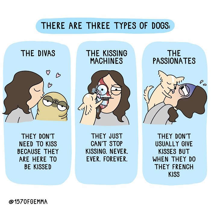 Life-With-Pug-Mochi-Comic-Gemma-Gene-157ofgemma