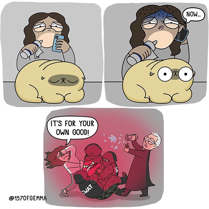 Life-With-Pug-Mochi-Comic-Gemma-Gene-157ofgemma