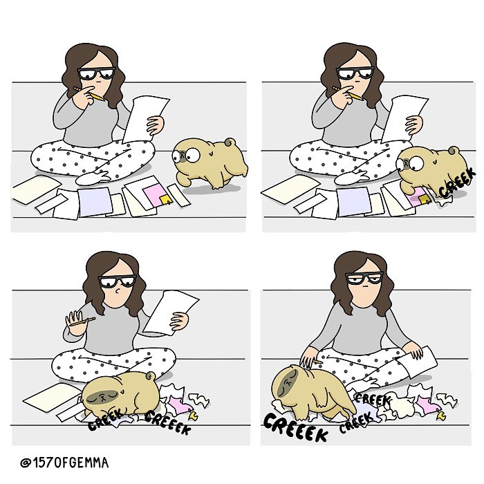 Life-With-Pug-Mochi-Comic-Gemma-Gene-157ofgemma
