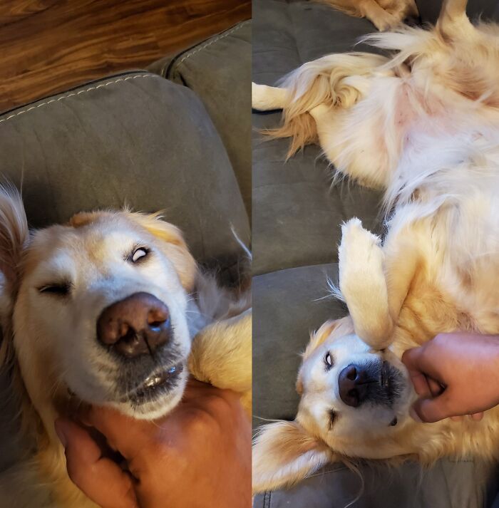 Lilly Fell Asleep Belly Up