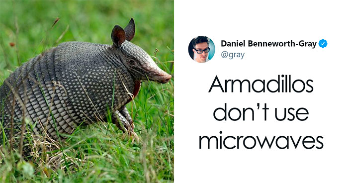 ‘Covidiot’ Politician Tries To Prove A Point By Saying That ‘Lions Don’t Wear Masks,’ Gets Shut Down With Hilarious Comments