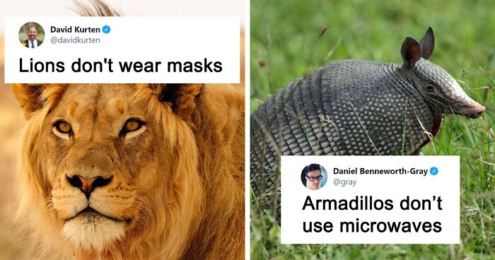 ‘Covidiot’ Politician Tries To Prove A Point By Saying That ‘Lions Don’t Wear Masks,’ Gets Shut Down With Hilarious Comments