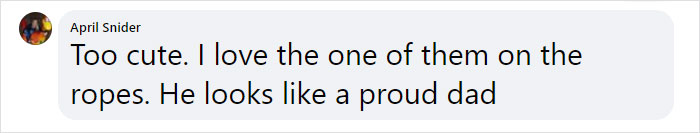 Very Uncommon In The Wild: Male Orangutan Steps Up To Take Care Of His Daughter After Mom's Death Very Uncommon In The Wild: Male Orangutan Steps Up To Take Care Of His Daughter After Mom's Death