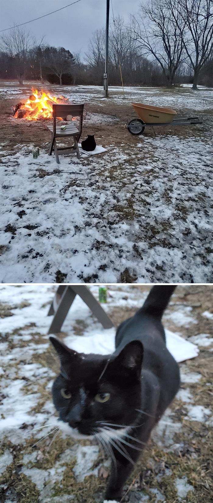 This Is My Poultry Farm In South Haven, Michigan. This Is My Bonfire. This Is My Wheelbarrow. This Is My Deck Chair. This Is My Beer. This Is My Blanket On The Ground, But This Is Not My Cat