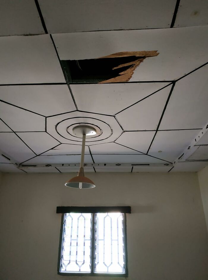 A Cat Fell Through My Ceiling. It Wasn't My Cat. We Were Both Too Keen To Have The Cat Leave Via The Door To Take A Photo With The Cat