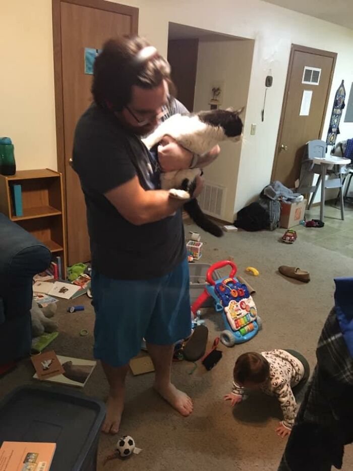 This Is Not My Cat. This Is A Cat That Ran Inside Undetected When I Went Out To Check The Mail