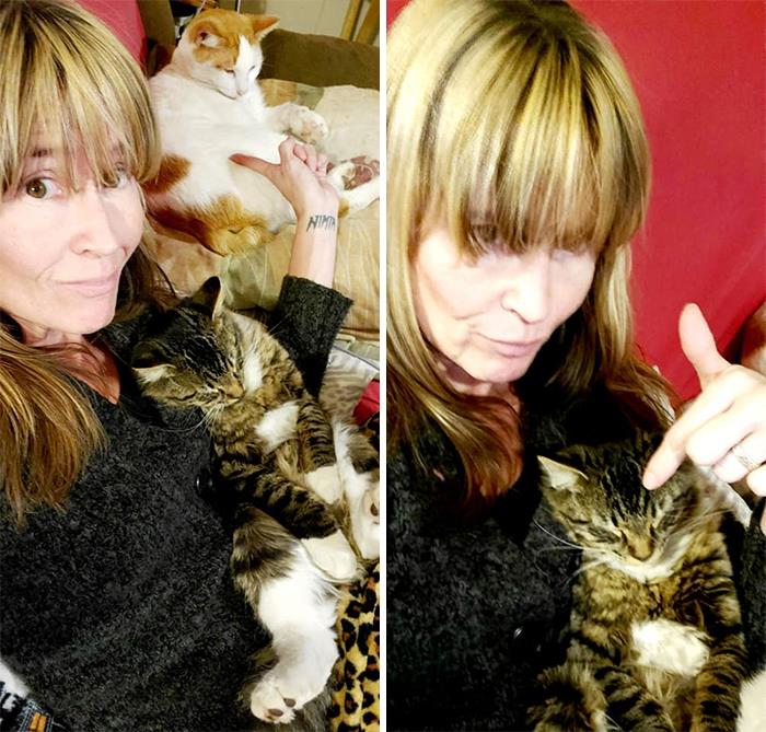 The Cat On My Lap Is Not My Cat. He Just Won't Leave