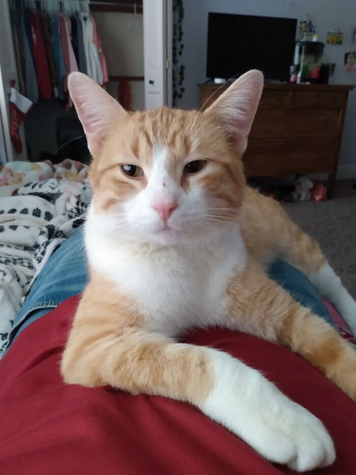 This Guy Showed Up At Our Door Last Night