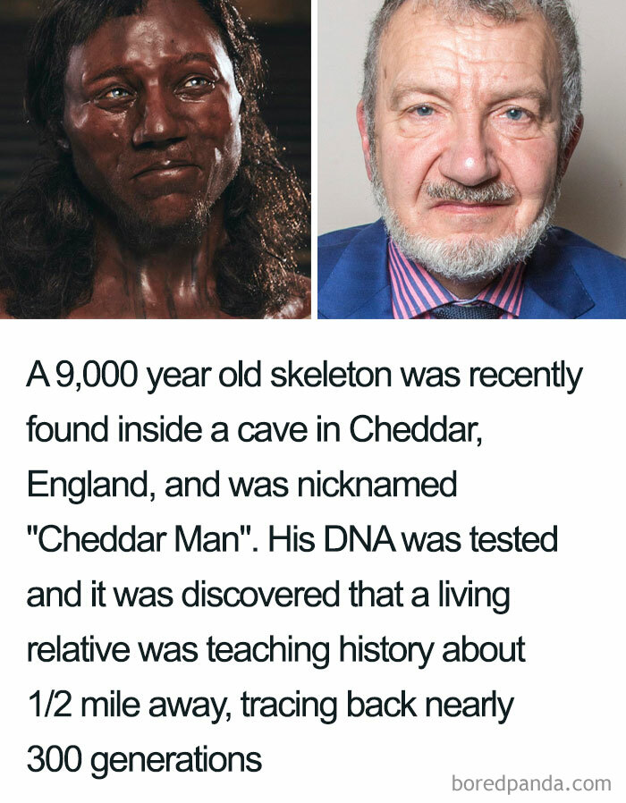 Genes Are Everything