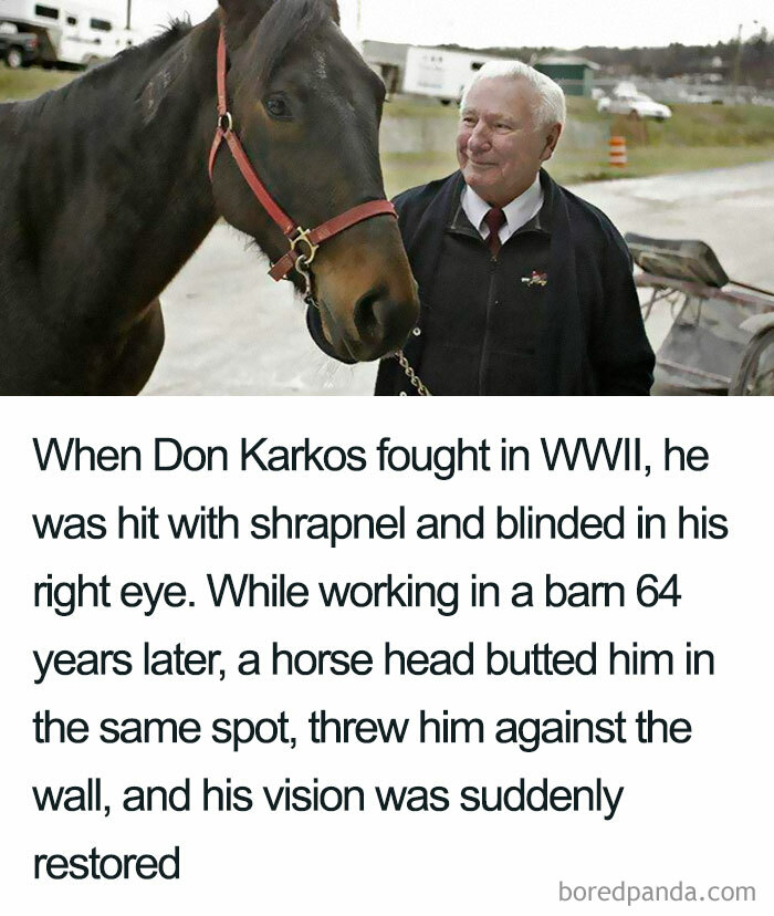 One Man's Best Friend