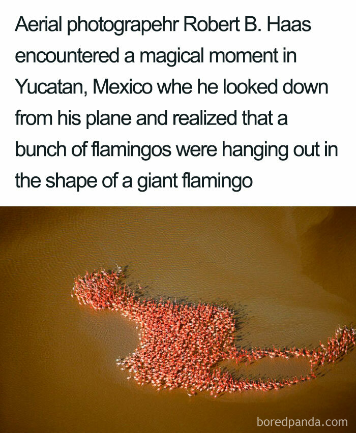 That’s Gotta Be A First