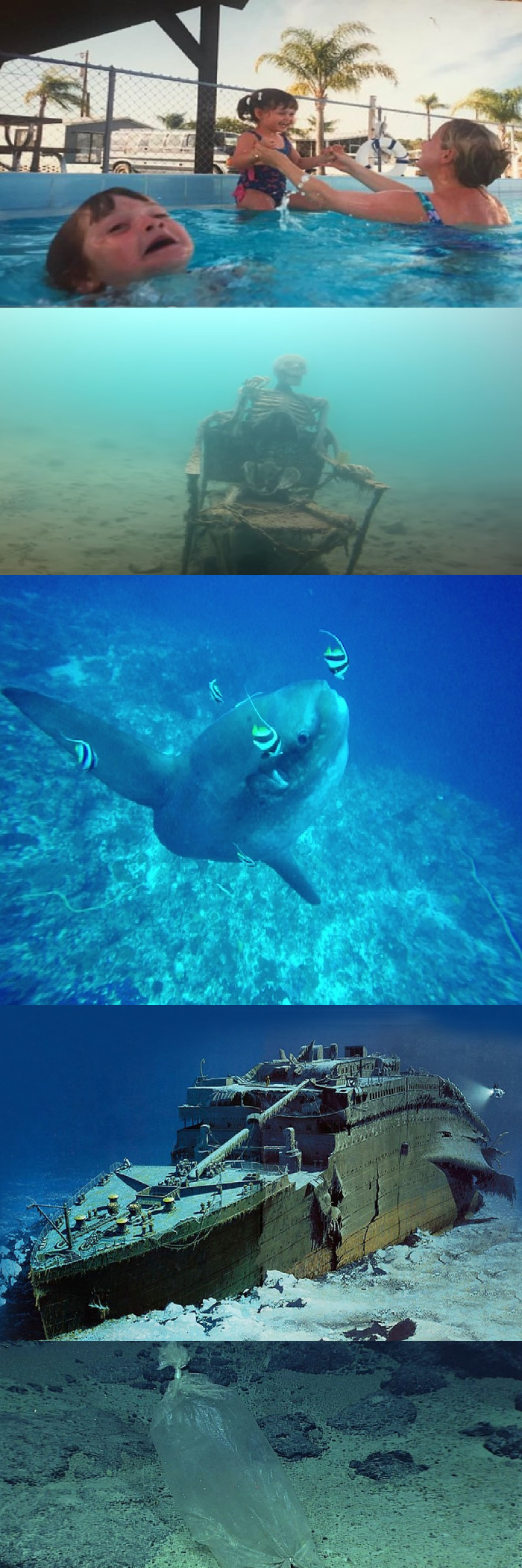 I Don't Have A Favourite Meme, But I Do Have This Extension Of The "Pool Kids" Meme.