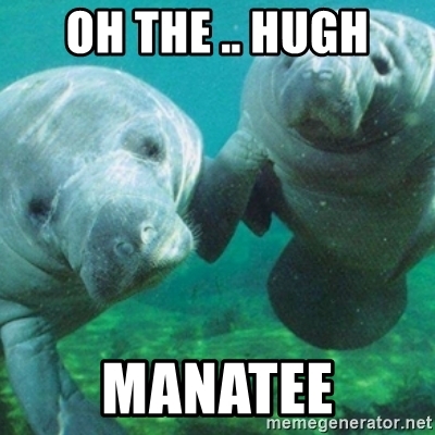 oh-the-hugh-manatee-5ff3df0d0697a.jpg
