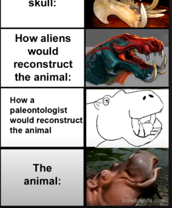 paleontologist-would-reconstruct-the-animal-60099f05c8ebd.png