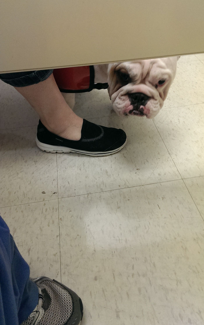 Was Just A Victim Of A Peeping Tom. I Ain't Even Mad