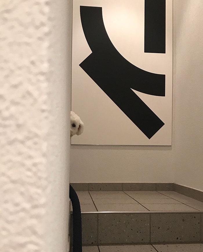 Peeping Around The Corner