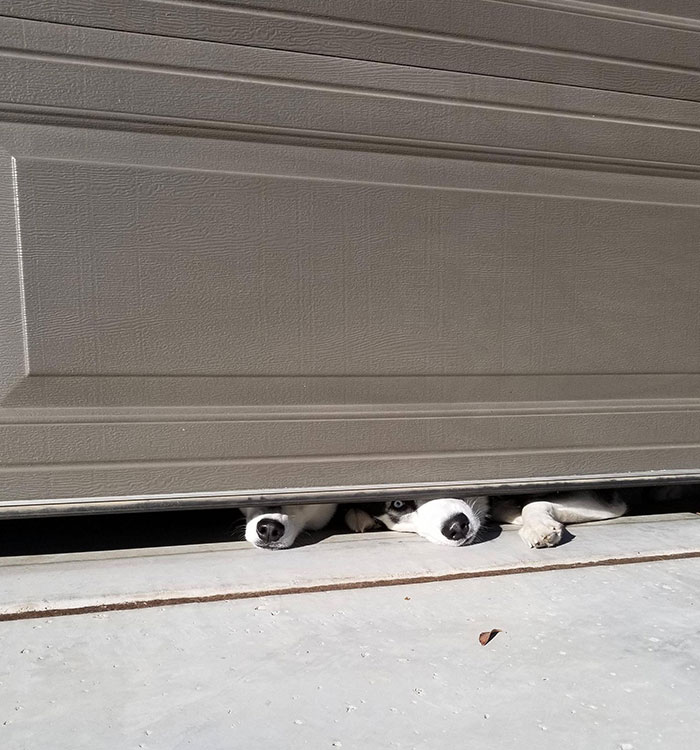 I Usually Hate When Customers Want To Watch Me Work, But I'll Make An Exception For These Guys