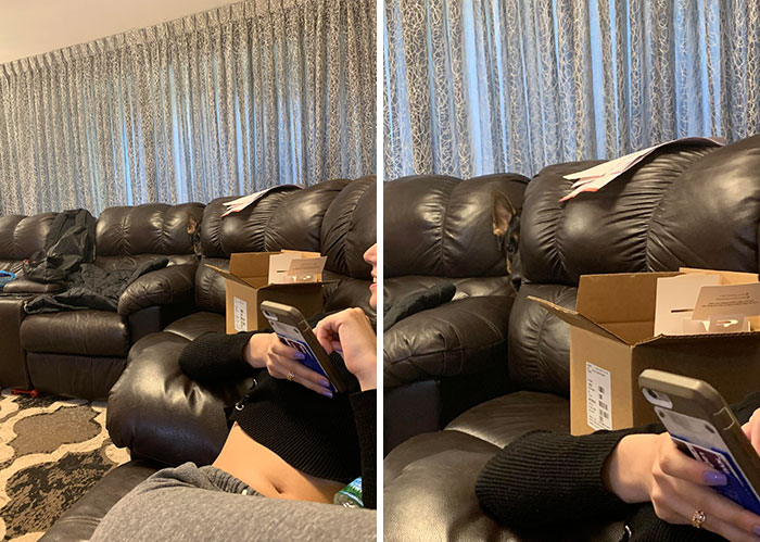 He Thinks We Can’t See Him