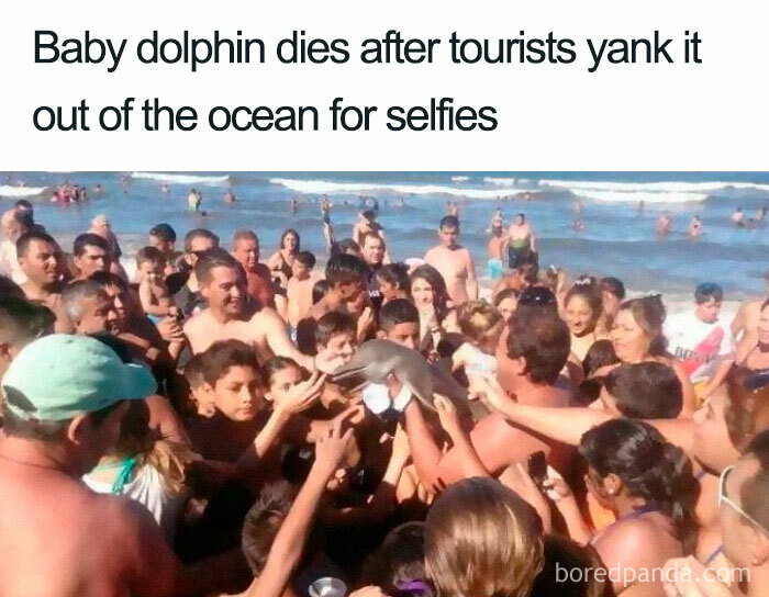 Killing A Dolphin For Selfies