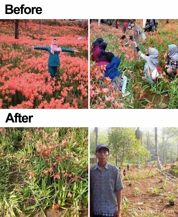 His Beautiful Flower Field Got Trampled By Tourist