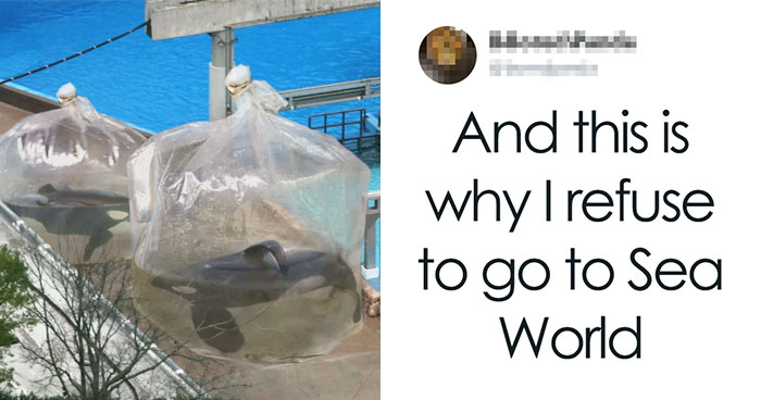 50 Times People Fell For Fake Satirical Articles And Made Fools Of Themselves Online