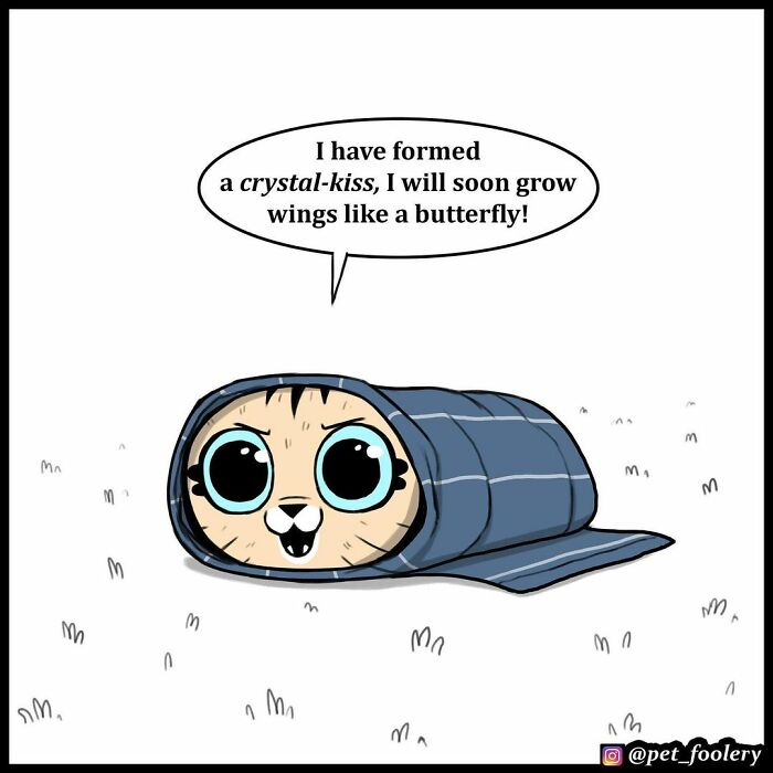 8 New Hilariously Adorable Comics About Pixie And Brutus To Instantly Make Your Day