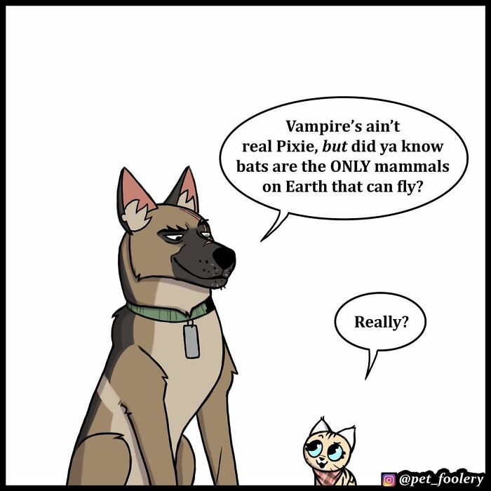 8 New Hilariously Adorable Comics About Pixie And Brutus To Instantly Make Your Day