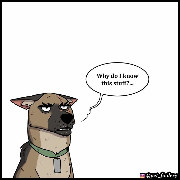 8 New Hilariously Adorable Comics About Pixie And Brutus To Instantly Make Your Day 8 New Hilariously Adorable Comics About Pixie And Brutus To Instantly Make Your Day