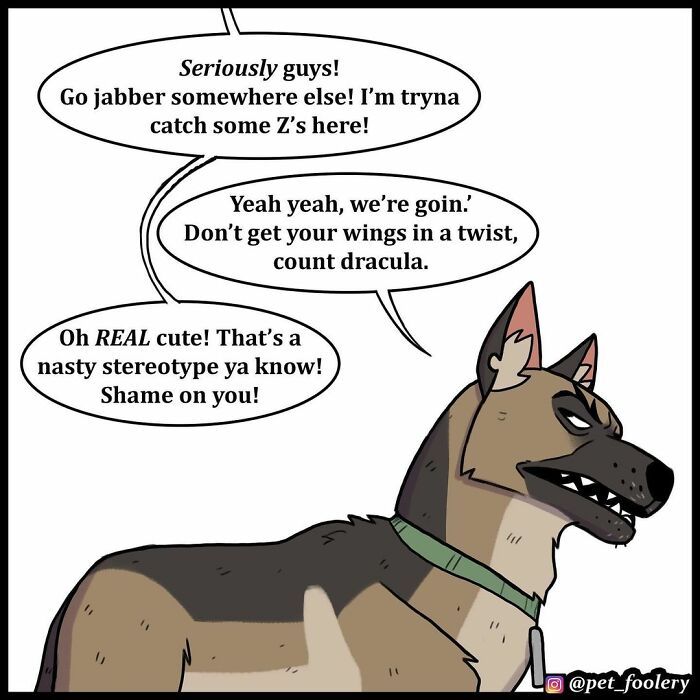 8 New Hilariously Adorable Comics About Pixie And Brutus To Instantly Make Your Day