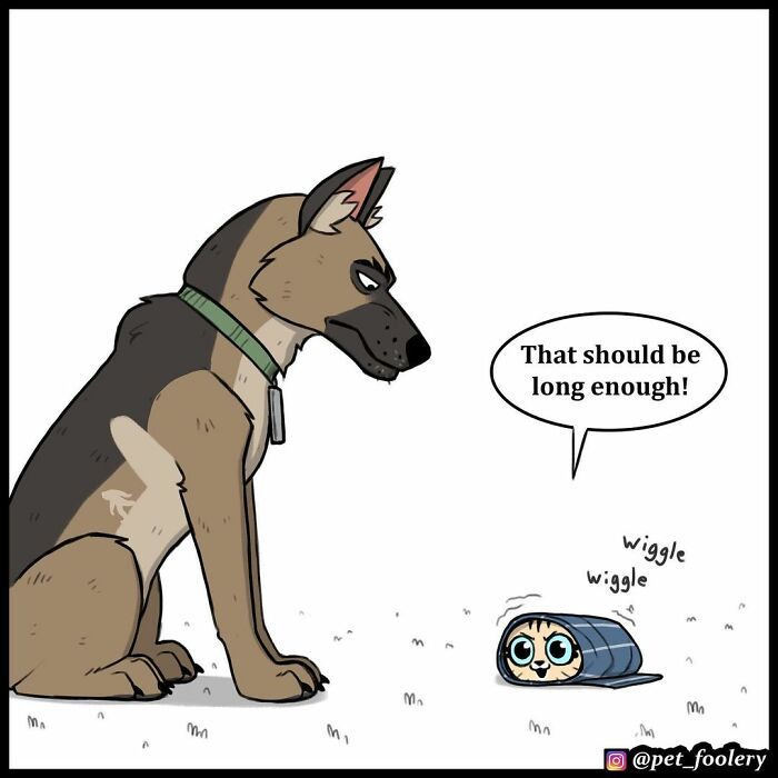 8 New Hilariously Adorable Comics About Pixie And Brutus To Instantly Make Your Day 8 New Hilariously Adorable Comics About Pixie And Brutus To Instantly Make Your Day